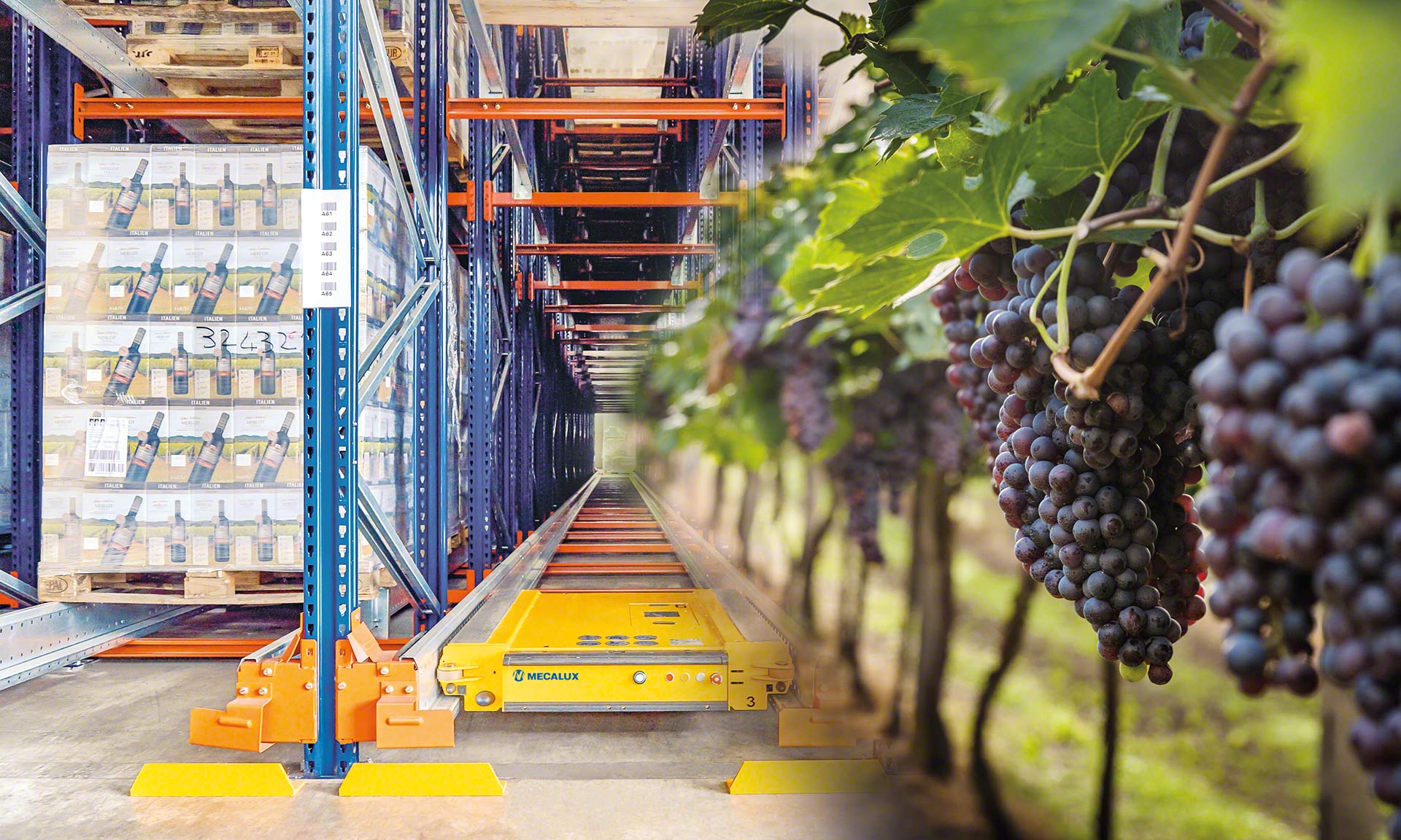 Una bodega de vinos aumenta su eficiencia y seguridad mediante la automatización