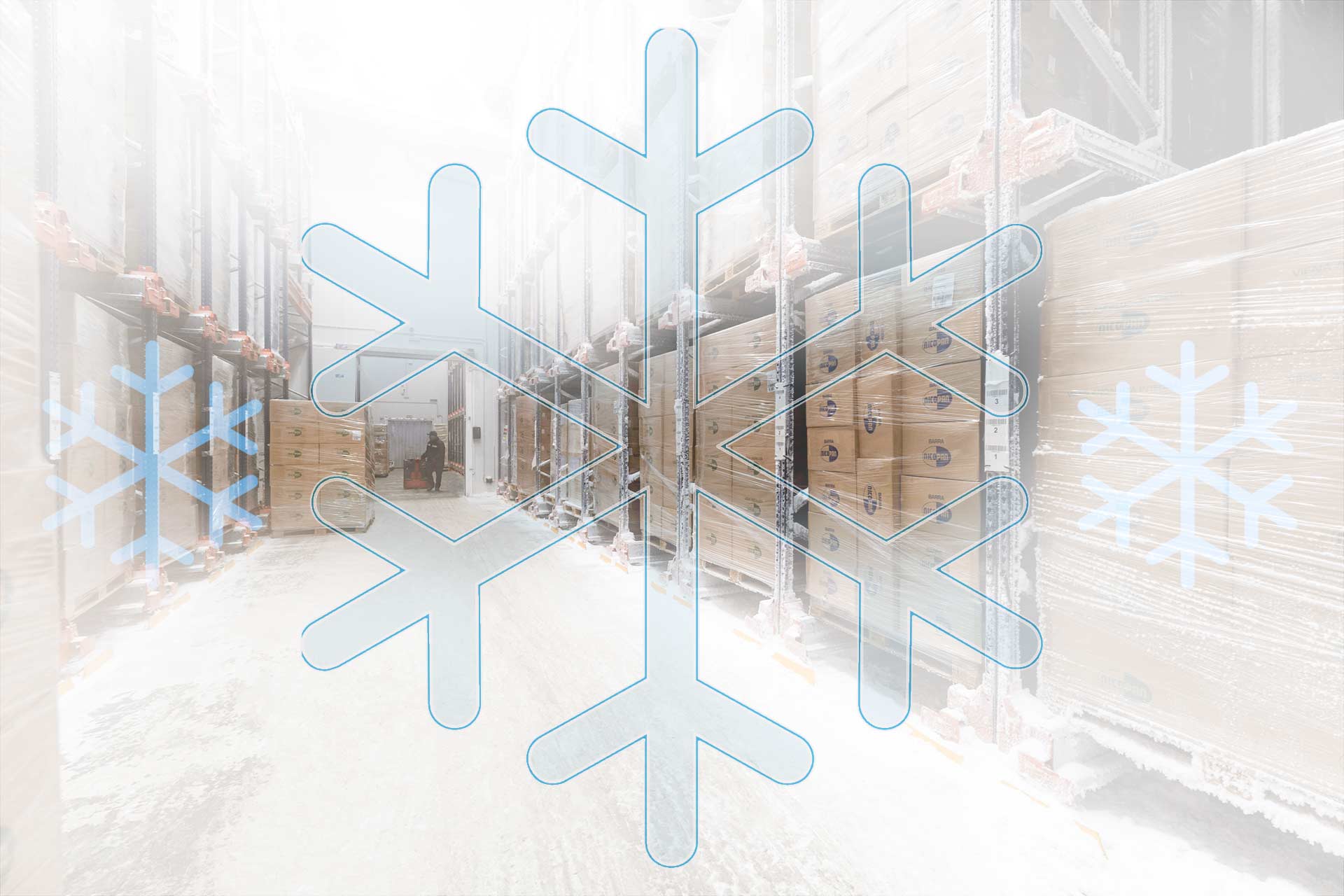 Una cámara de congelación industrial es un sitio donde mantener la mercadería a una temperatura inferior a 0 ºC Una cámara de congelación industrial es un sitio donde mantener la mercadería a una temperatura inferior a 0 ºC