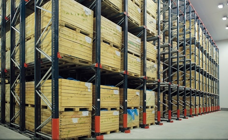 Mecalux ha suministrado a Alifrut cuatro bloques de estanterías de paletización compacta drive-in en su cámara de congelación