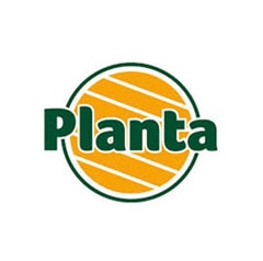 Planta