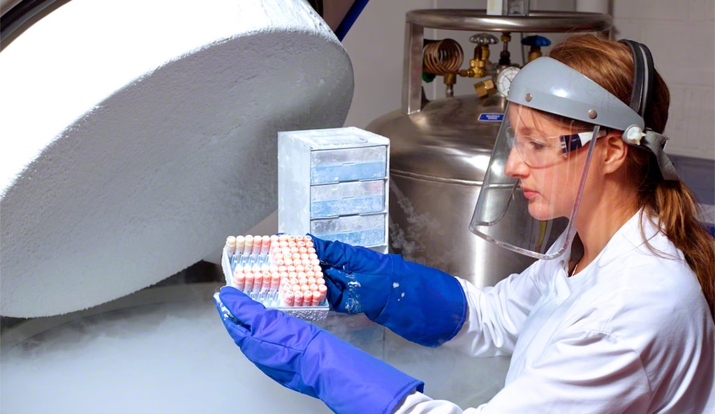Una bodega criogénica es una instalación diseñada para mantener temperaturas muy bajas