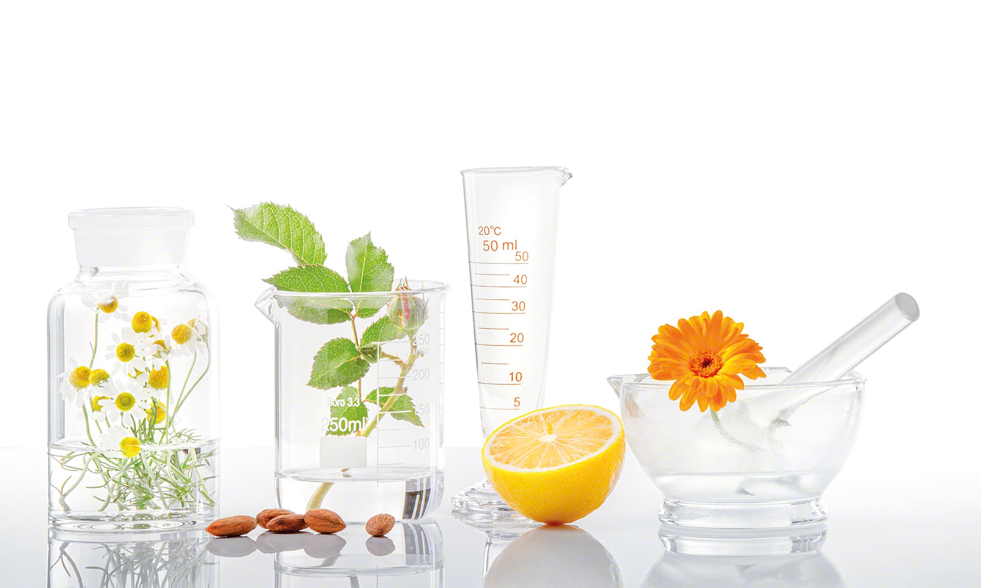 La Source digitaliza su bodega para productos naturales de dietética con Easy WMS La Source digitaliza su bodega para productos naturales de dietética con Easy WMS