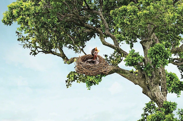 Bodega automatizada para chocolates y galletas en el centro logístico de Konya Şeker